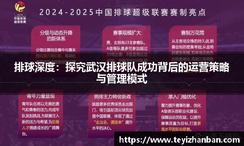 排球深度：探究武汉排球队成功背后的运营策略与管理模式