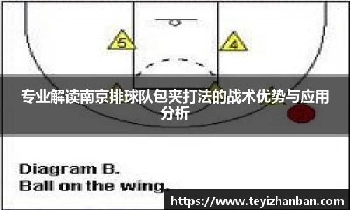 专业解读南京排球队包夹打法的战术优势与应用分析