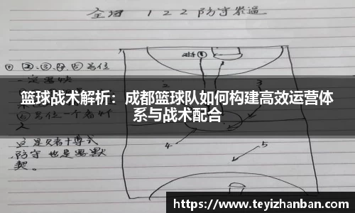 篮球战术解析：成都篮球队如何构建高效运营体系与战术配合