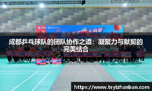 成都乒乓球队的团队协作之道：凝聚力与默契的完美结合